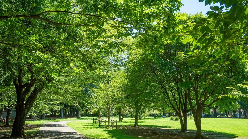 港区や中央区よりも上…有名でも財政に余裕があるわけでもないのに｢幸福度が高い｣自治体が存在するワケ ｢街の幸福度ランキング｣1位～12位は"町や村"だった