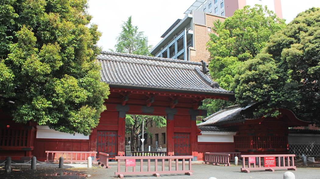 ｢社会の底辺をほったらかす人間になるな｣東大入学式の祝辞で声を大にして言いたいこと 東大新入生にとって､あまりおめでたくない現実