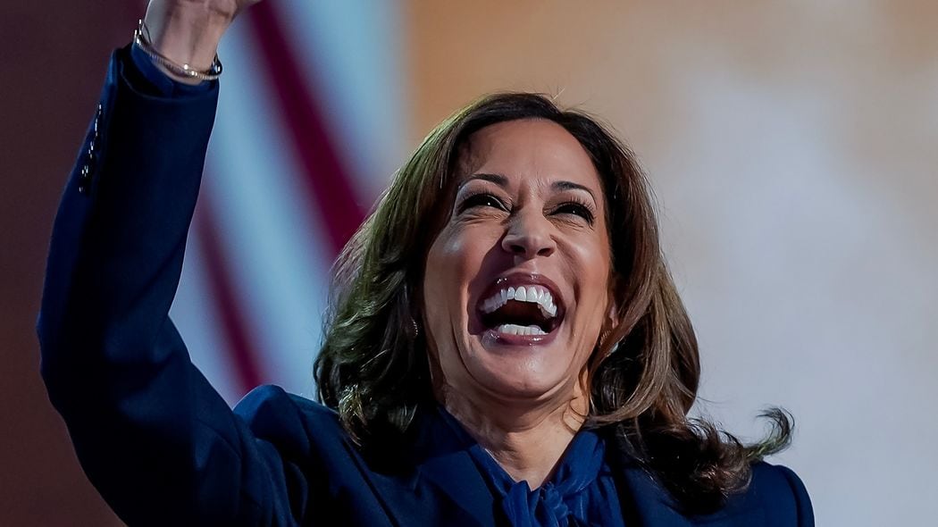 ヒラリーと同じ轍を踏むわけにいかない…男性同様のタフさ打ち出すハリスがこれからぶつかる真の壁 ｢最も不人気な副大統領｣から｢喜びの大統領候補｣へ転身したが…