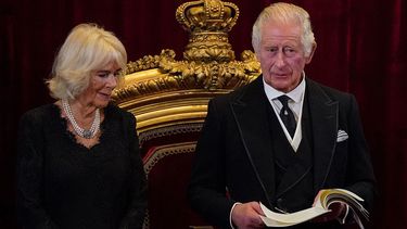 ダイアナ元妃の死から25年｣偉大な母に委縮したチャールズ国王が頼る75