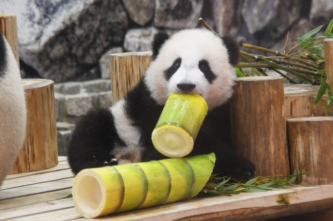 2020年11月に生まれた楓浜