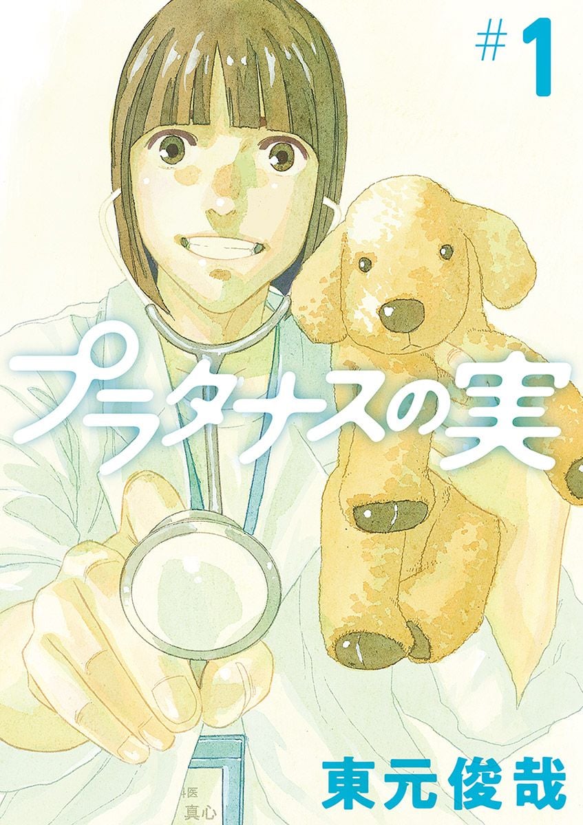 プラタナスの実（1）