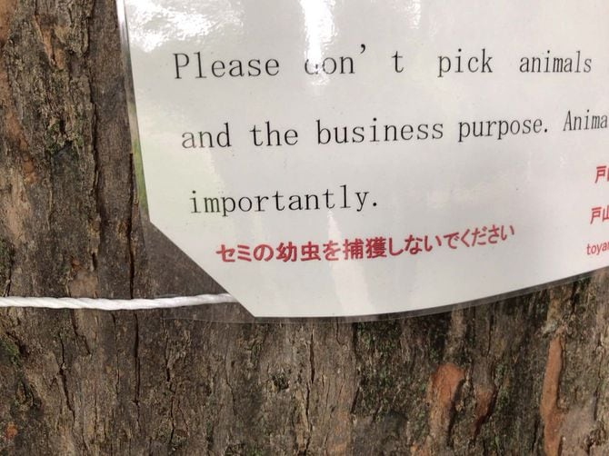 2020年に新宿区の戸山公園で筆者友人が撮影。
