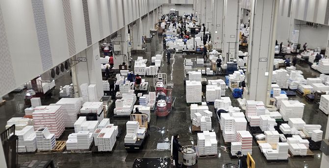 豊洲市場では発泡スチロール入りの鮮魚が大量に取引されている