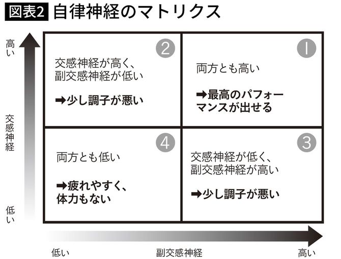 自律神経のマトリクス