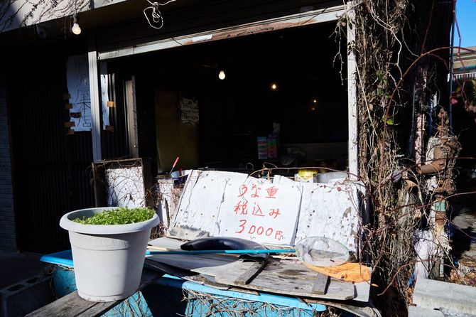 ツタに絡まれた店先