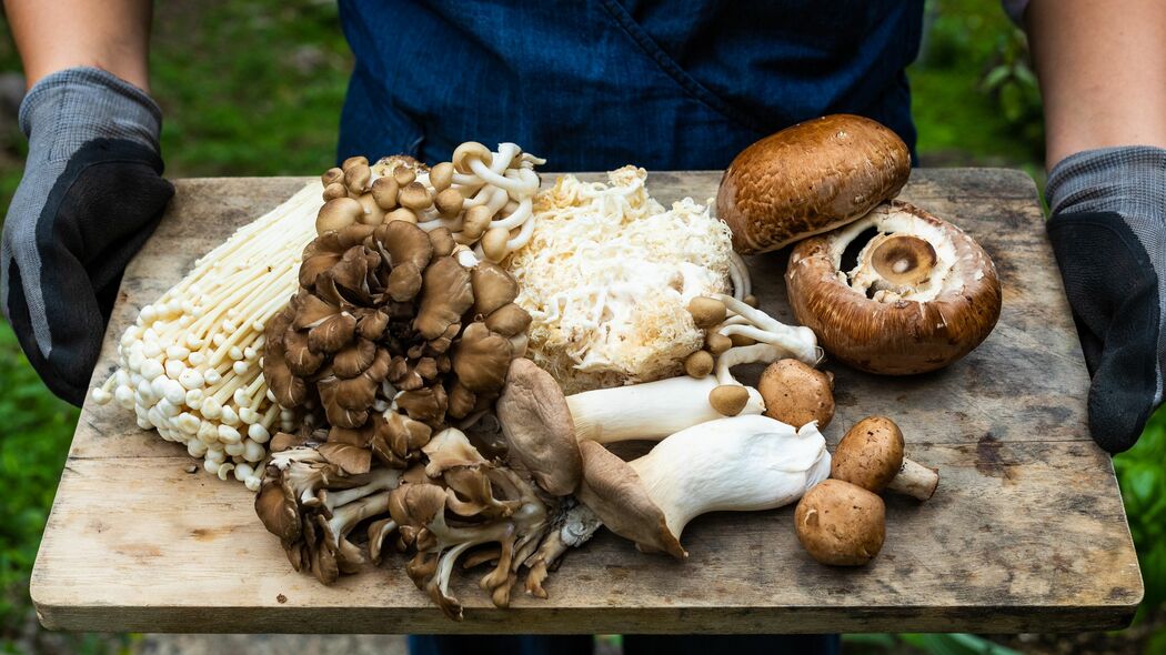 味噌汁に入れて食べるだけ…骨折と寝たきりを遠ざける｢カルシウムと並ぶ栄養素をとれるキノコの名前｣