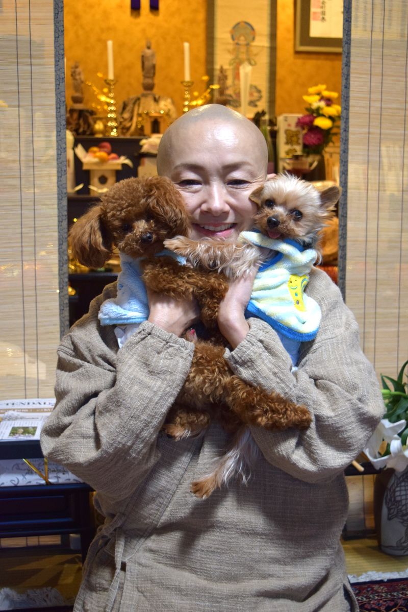 髙橋美清さんと、現在飼っている保護犬出身の「副住職」たち