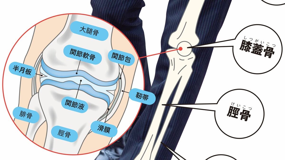 変形性膝関節症､腸脛靭帯炎(ランナー膝)､半月板損傷､関節リウマチ