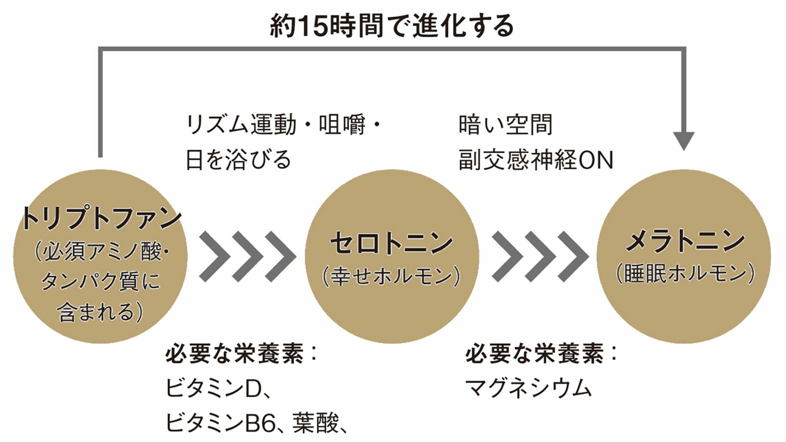 起床後1時間以内にこれを食べると体内時計が整う…コンビニで簡単に手に入って睡眠に効く｢おにぎりの具｣ 朝から｢スムージーだけ｣｢ヨーグルトだけ｣は絶対NG