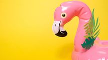 なぜ売れたのかわからない！幸運な「偶然」ーータカラトミー【２】