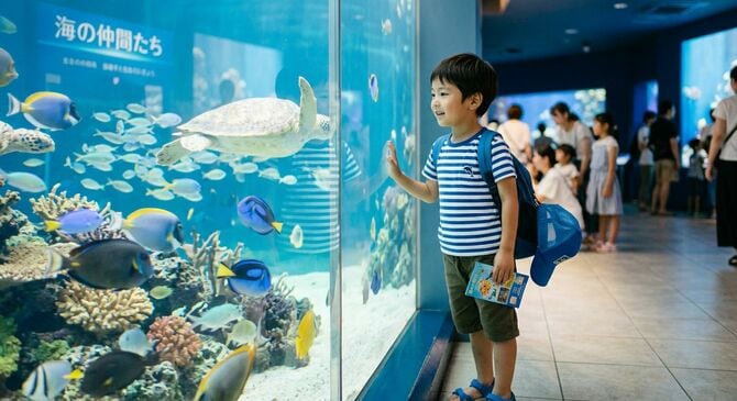 水族館の子共