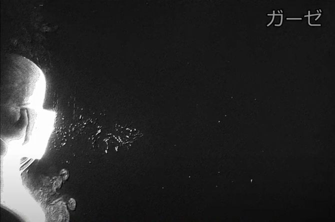 ガーゼ素材のマスク（カトウ光研株式会社に特別許可を得て掲載しています）