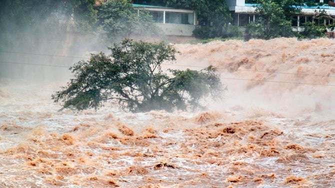 洪水に押し流される流木