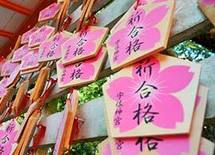 わが子の大学進学、結局いくらかかるのか