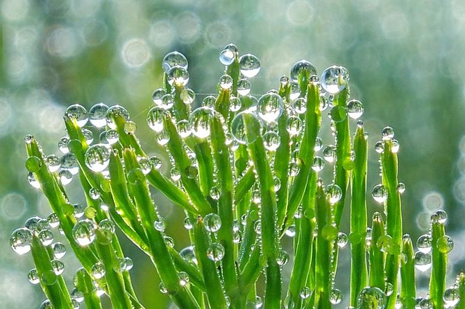 2025佳作「朝明けの恵」坂井 誠さん