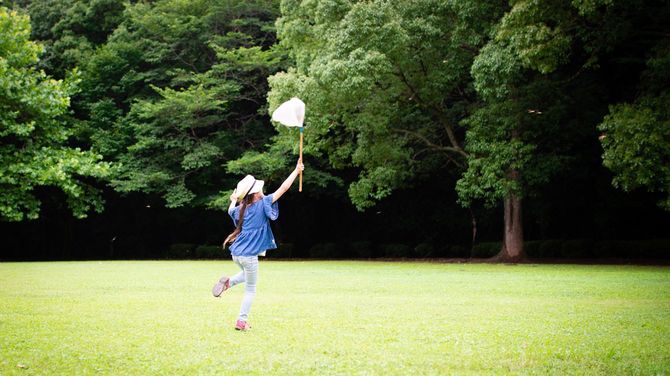 虫網でトンボを捕まえようとする少女