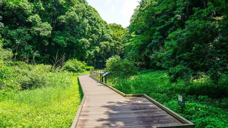｢たった1日でも高い抗うつ効果が期待できる｣夏休みが取れたら真っ先にやるべき3つのこと【2022編集部セレクション】 産業医の私ならハイキングかサウナで緊張から解放される…