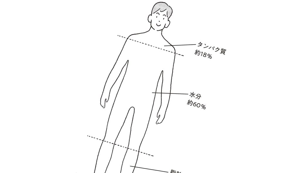 なぜ｢体重を気にする人｣ほど痩せられないのか…京大名誉教授｢ダイエットに失敗する人の意外な共通点｣ 停滞期がきたとたんに心が折れ､やけ食いしてリバウンドする