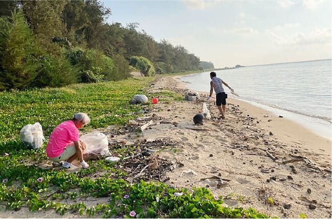 海岸でのゴミ拾い