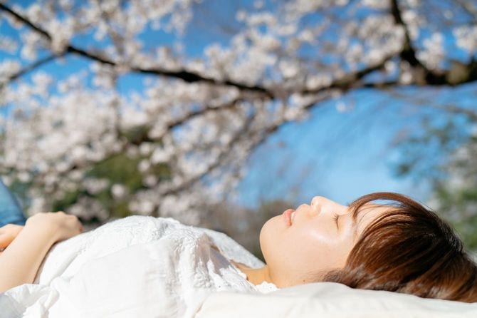 桜の木の下で休む若い女性