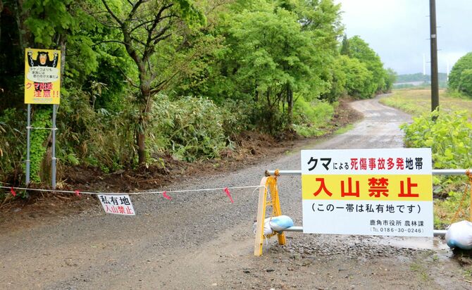 Japan's Bear Crisis: 50 Years Of Urban Encounters & A Grim Future ...