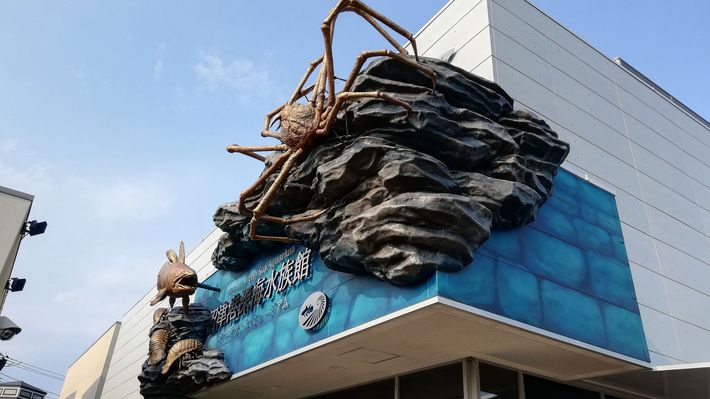 入館者の目当てはシャチでもクジラでもない…東京から約1時間の地方都市にある「日本唯一の水族館」の正体
