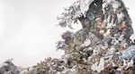 <strong>池田学 予兆(2008) </strong>紙にペン、インク 190x340cm 撮影:久家靖秀 ©IKEDA Manabu Courtesy Mizuma Art Gallery