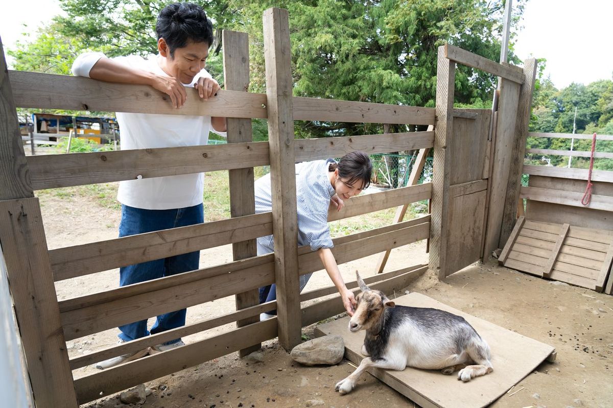 伊那小学校では、学年単位で決めた動物を飼い世話をする。ついたても自作で、しっかり釘を打たないと脱走することになる