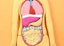 【糖尿病】血糖値を下げる食べ物、食べ方、食べる順番