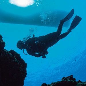 お金持ちが 歴史 哲学 を学び続ける理由 人間の心の本質を研究するのが趣味 President Online プレジデントオンライン