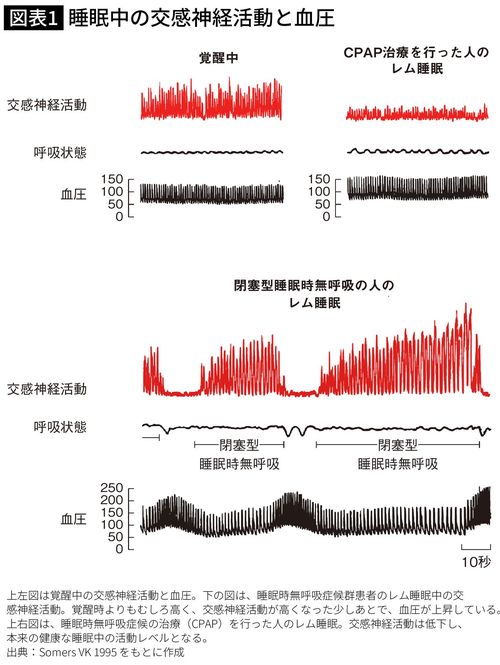 【図表】睡眠中の交感神経活動と血圧