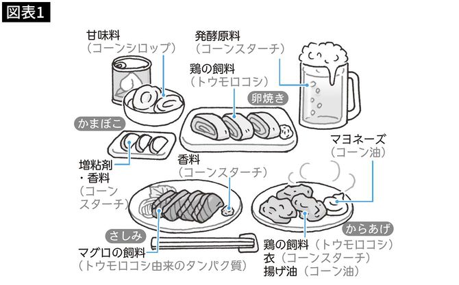 出典=NHKいのちドラマチック「シリーズ主食(1)トウモロコシ 驚異の繁栄」2010年より作成 イラスト=川野郁代