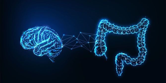 脳と腸のイメージ