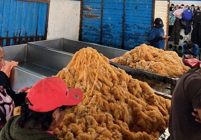 ペルーの港に水揚げされた房状のトビウオの卵