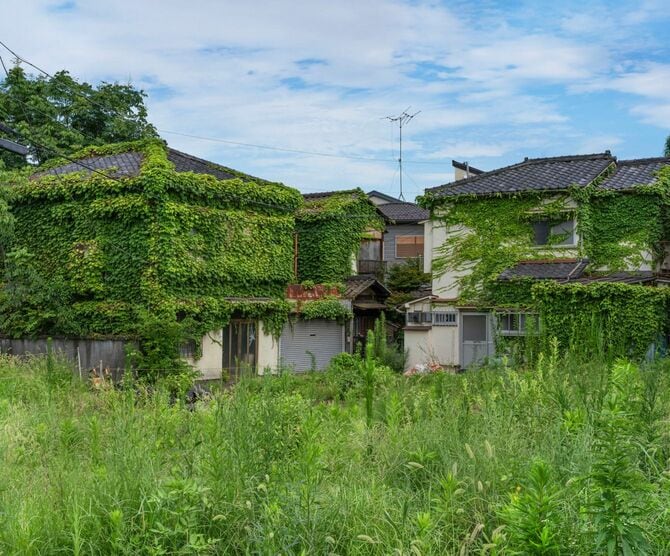草が生い茂った日本の空き家