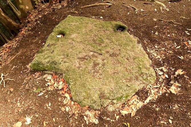 明確な二つの凹みがわかる旗立石