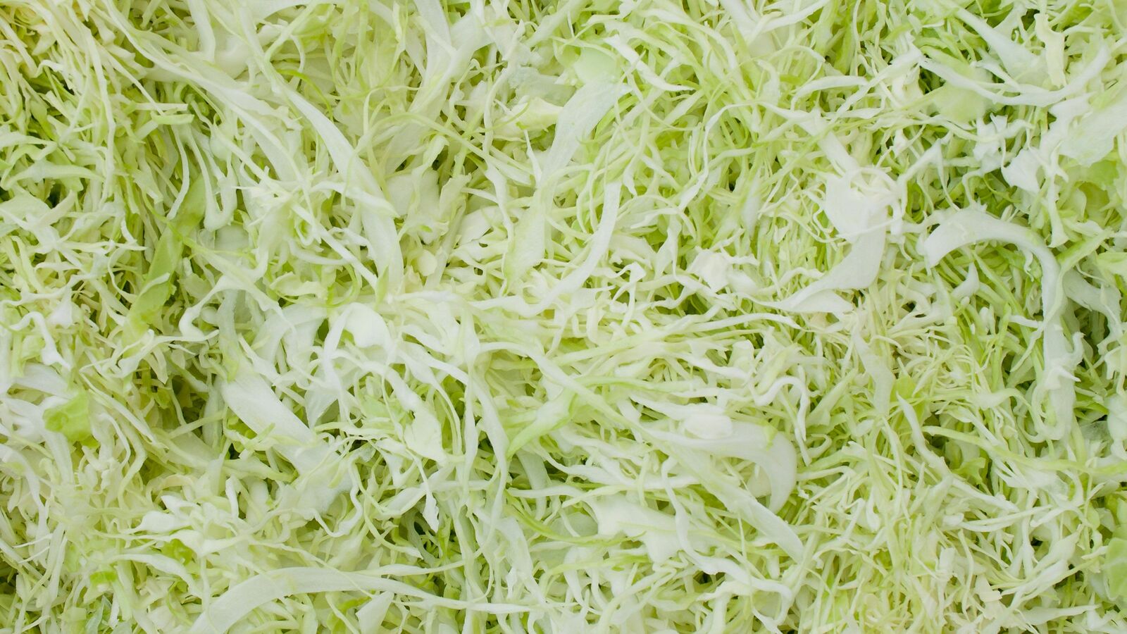 ｢カット野菜は普通の野菜に全く引けを取らない｣管理栄養士がもりもり食べるべしと説く2つの理由 キャベツを切る時間と気力がない親の救世主