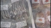 北朝鮮の最先端デパートに｢ししゃも｣｢しめさば｣｢炊飯器｣…日本製品がズラリ並ぶ衝撃の理由