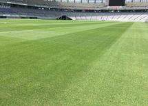 日本人は本当の「芝生」をいまだ知らない