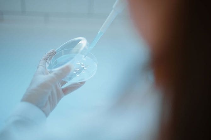 卵子の検査のイメージ