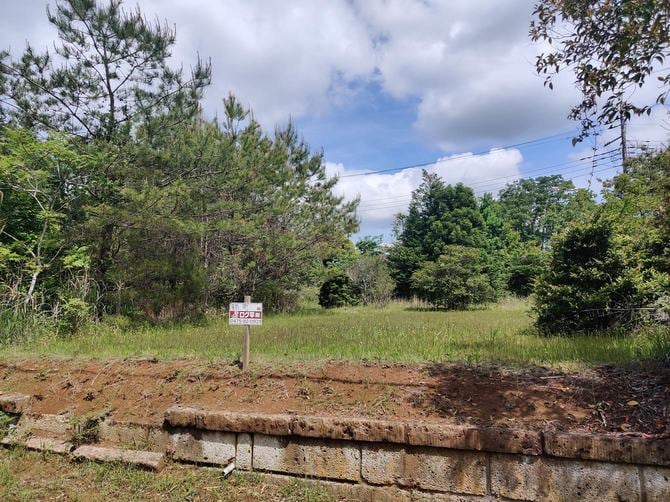 千葉県山武市麻生新田