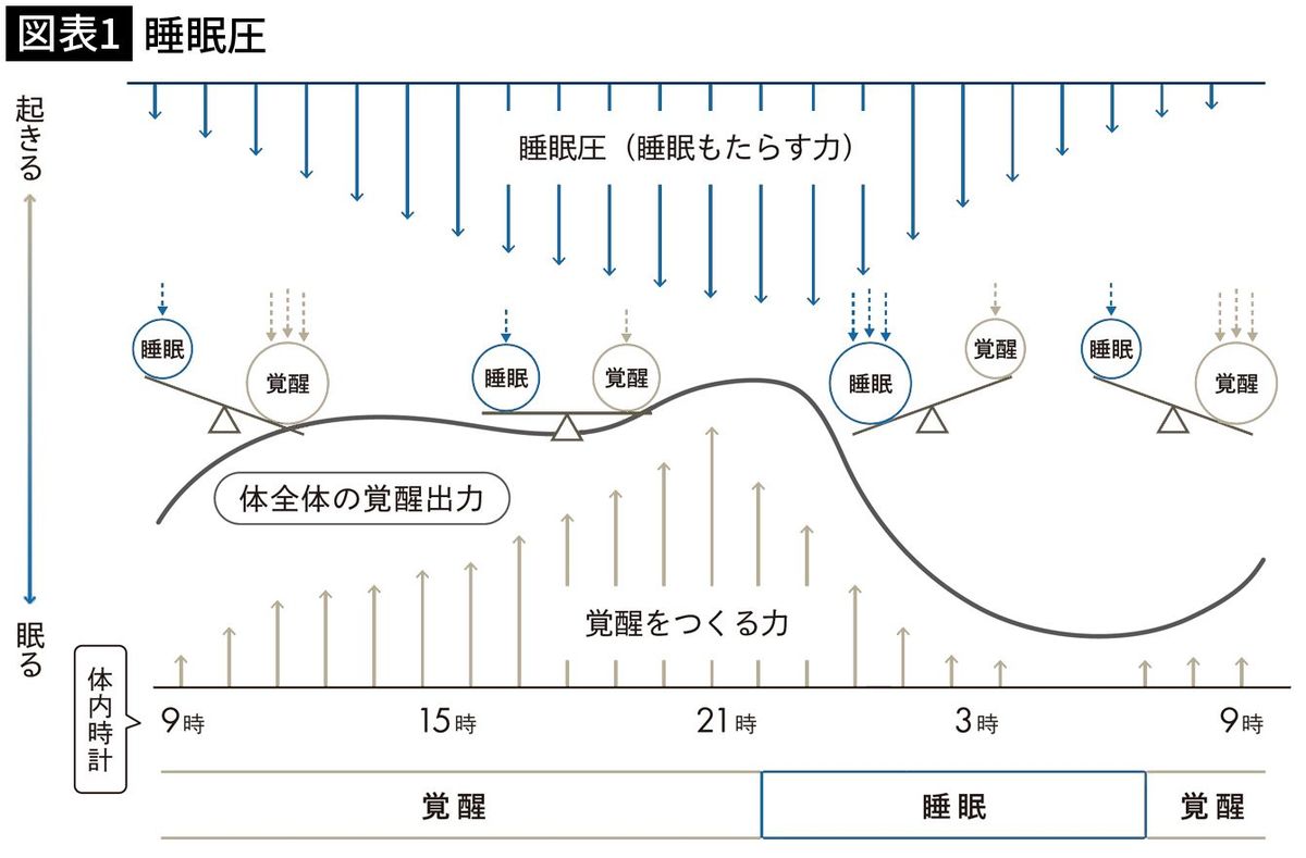 【図表1】睡眠圧