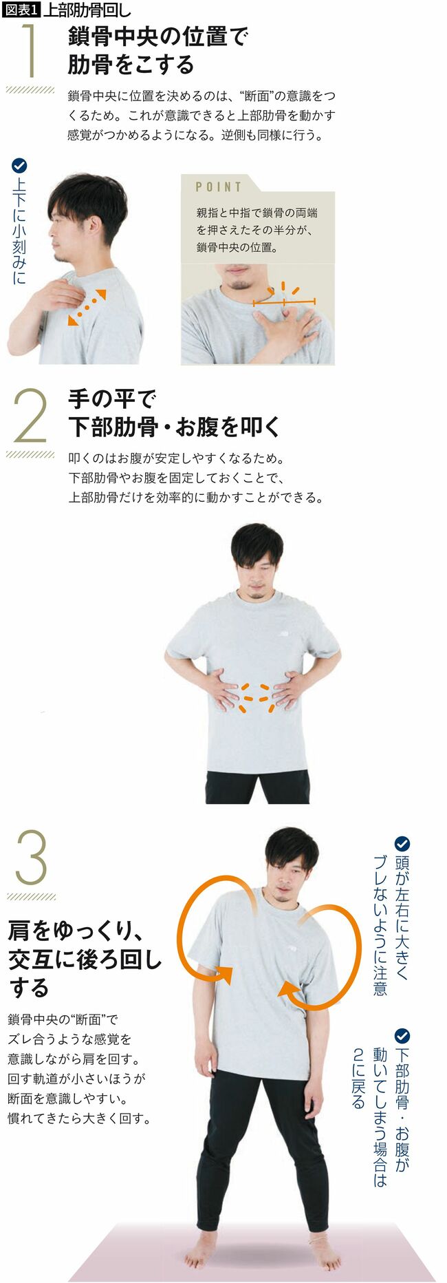 【図表1】上部肋骨回し