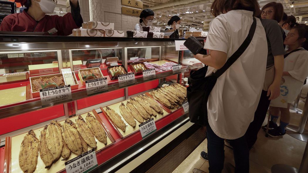 これで自給率100%も夢ではない…絶滅危惧種ビジネスとなりつつあるウナギを救う目からウロコの解決策 養殖ウナギの出荷サイズを大きくすれば国際問題にならない