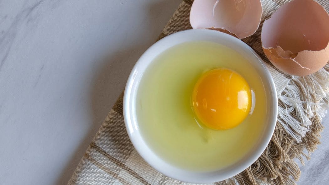 ｢粗食が一番｣｢卵は1日1個｣｢よく噛んで食べる｣…実は科学的に正しくない｢食のアドバイス｣はどれか ｢牛乳を飲めば酔わない｣｢寝酒をするとよく眠れる｣は俗説