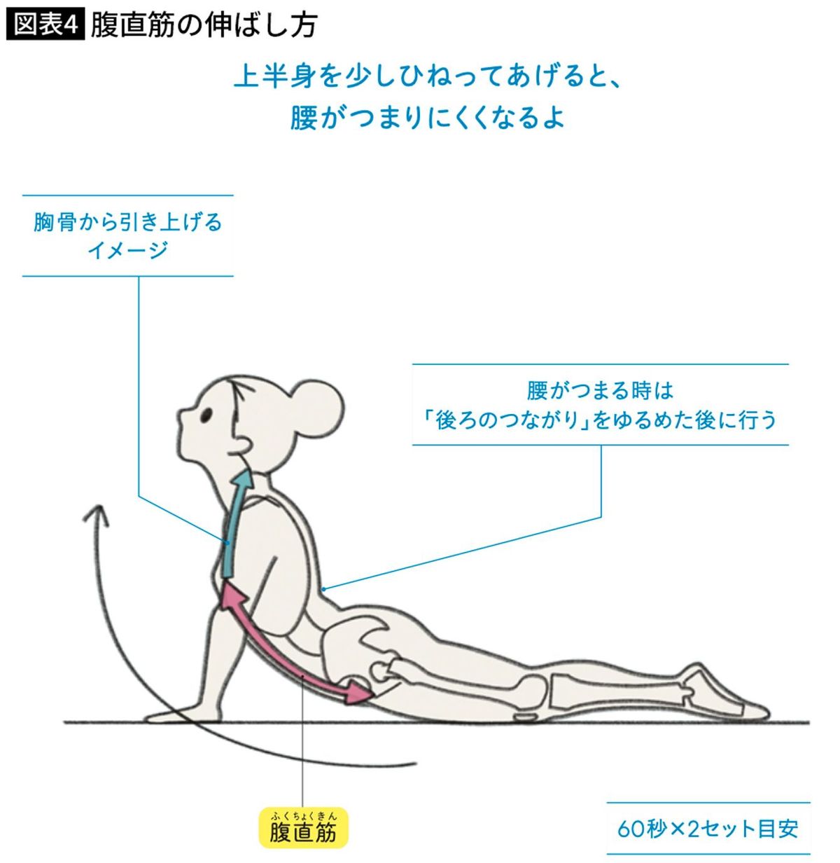 腹直筋の伸ばし方