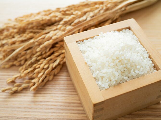 日本の米と稲穂