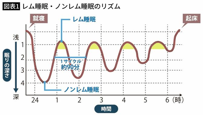 【図表1】レム睡眠・ノンレム睡眠のリズム