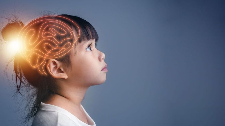 女の子の頭部に、光る脳のイラストを重ねた様子